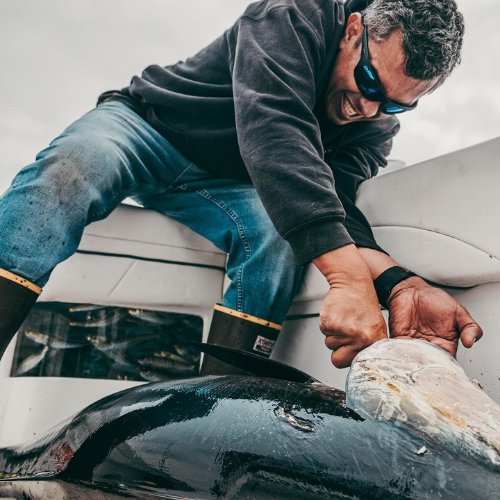 Deep-sea bluefin tuna fishing in Los Angeles waters.