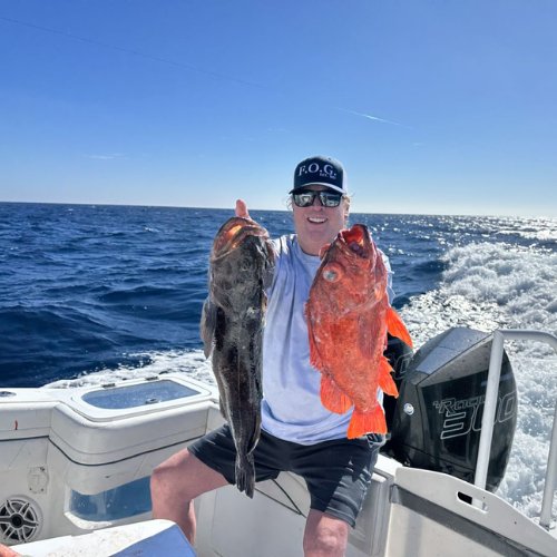 Fish caught on San Clemente fishing charter.